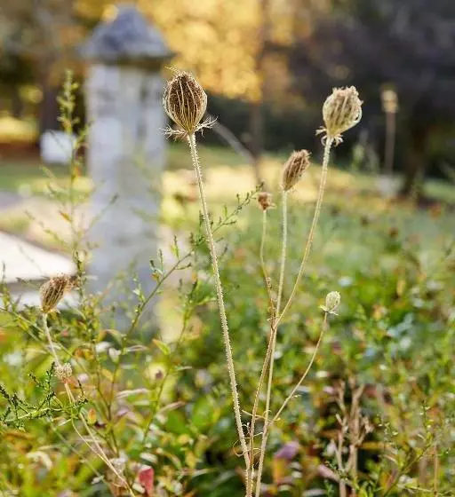 Aamiaismajoitus (B&B) La Jagée