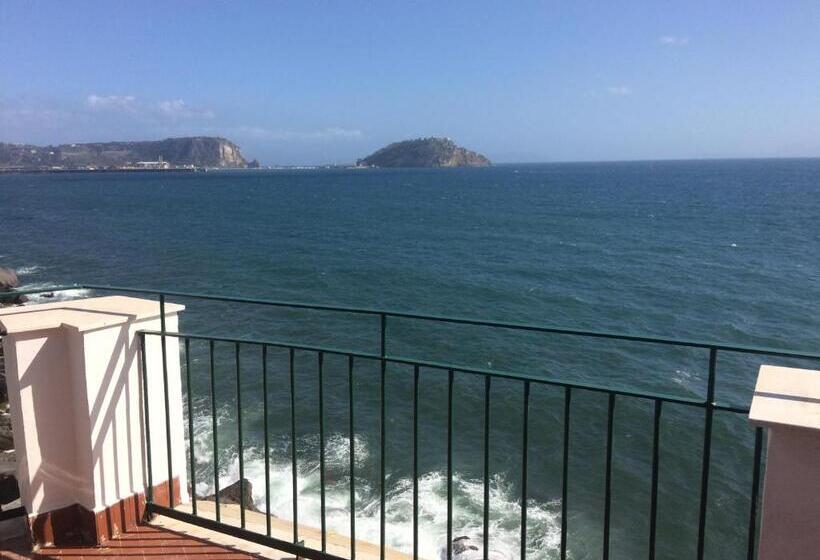 Bed and Breakfast The Reef House