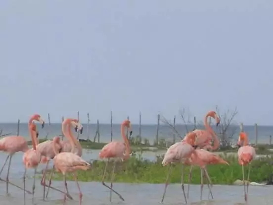 Hotelli San Felipe De Jesus Yucatan