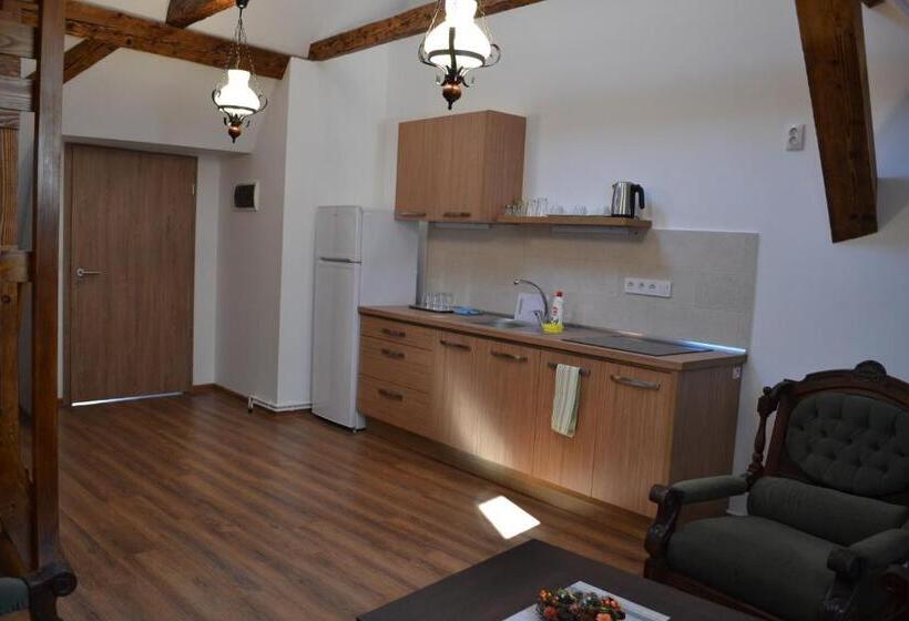 بنسيون Casa Fanarilor