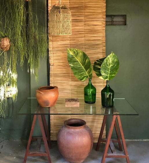 بنسيون Kûara Pipa