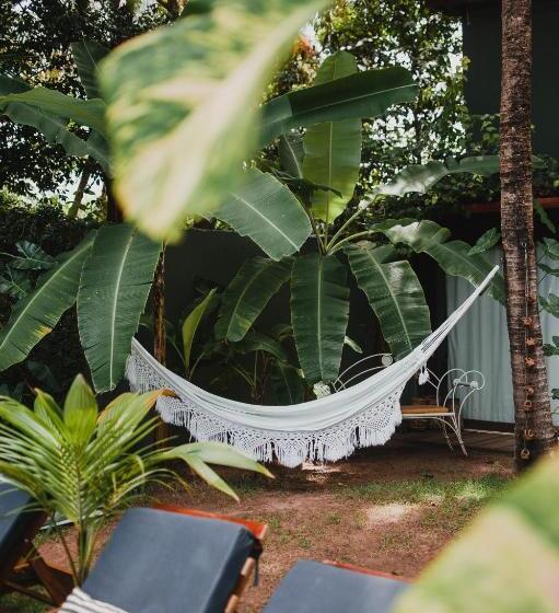 بنسيون Kûara Pipa