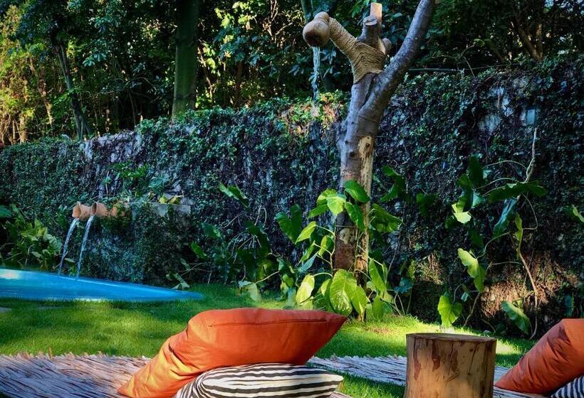 بنسيون Kûara Pipa