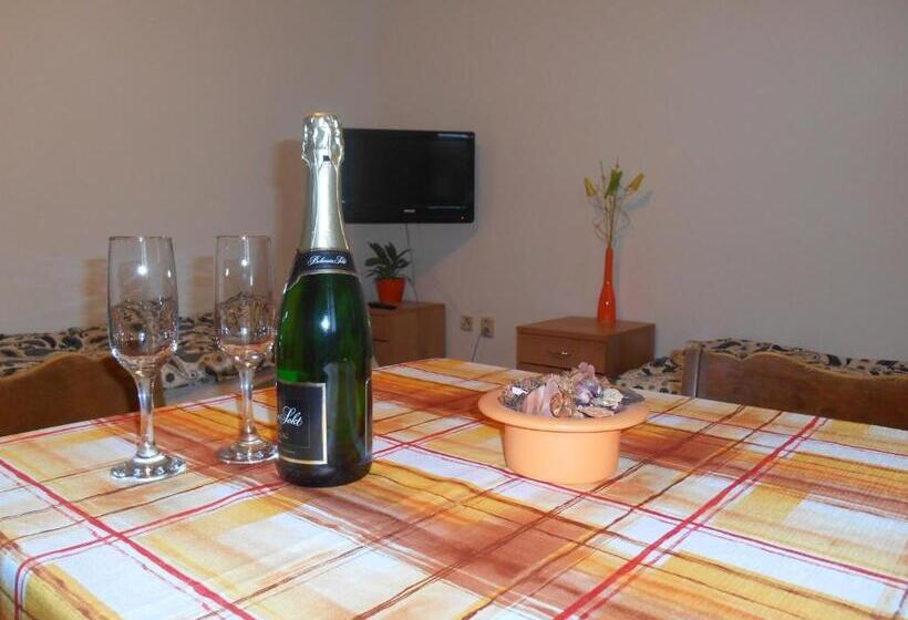 پانسیون Penzion V Zatáčce