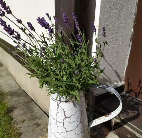 Majatalo U Tomíčků