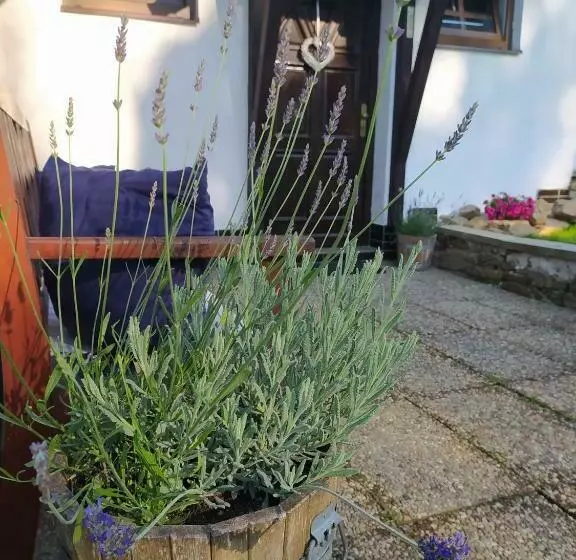 Majatalo U Tomíčků