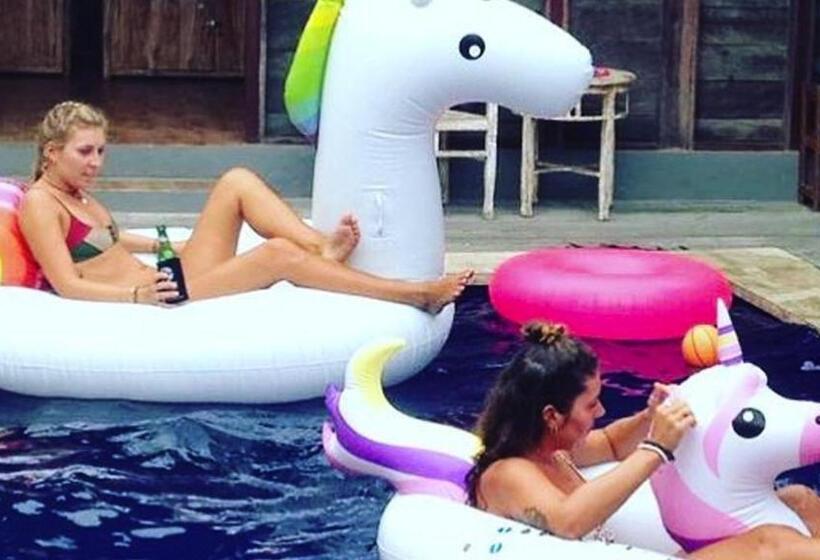 The Tipsy Gypsy Hostel