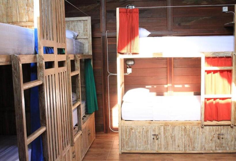 The Tipsy Gypsy Hostel