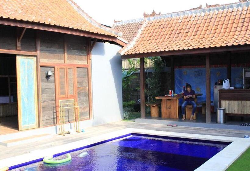 The Tipsy Gypsy Hostel