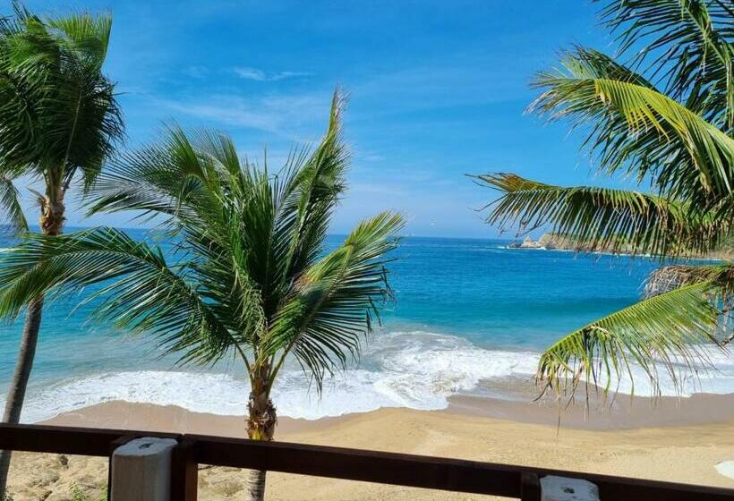 فندق صغير Posada Ziga Playa