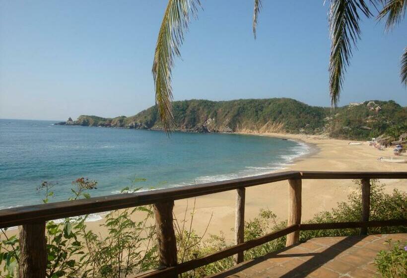 فندق صغير Posada Ziga Playa