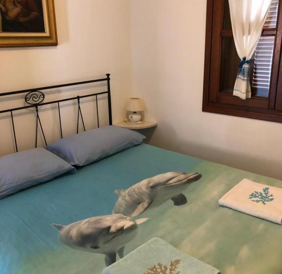 Bed and Breakfast Tiffany Palau