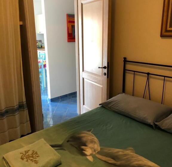 Bed and Breakfast Tiffany Palau