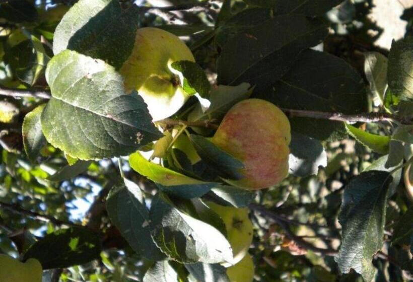 בית מלון כפרי Agriturismo Il Melo
