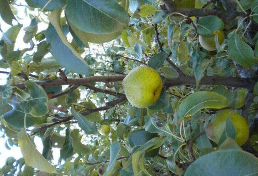 בית מלון כפרי Agriturismo Il Melo