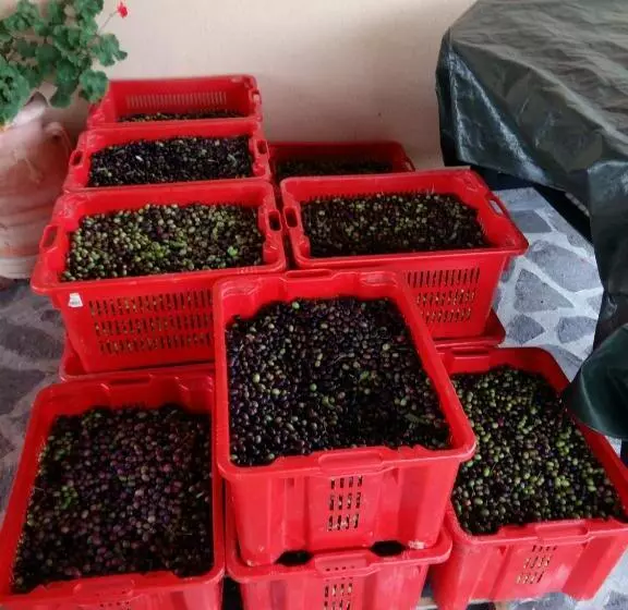 ホテル Agriturismo Il Melo