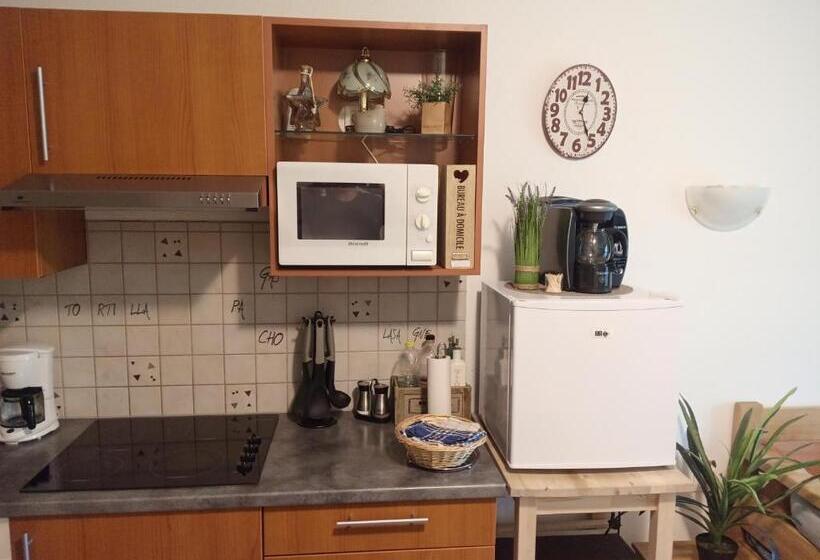 Le Roi Du Sundgau Près De La Horse Mooslargue