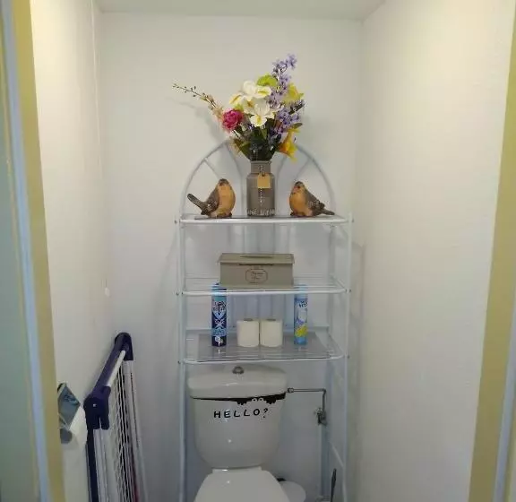 Le Roi Du Sundgau Près De La Horse   Mooslargue