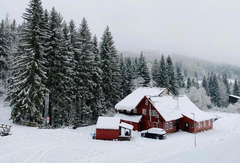 Pension Penzion Lesní Zátiší Harrachov