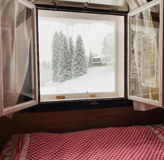 Pension Penzion Lesní Zátiší Harrachov