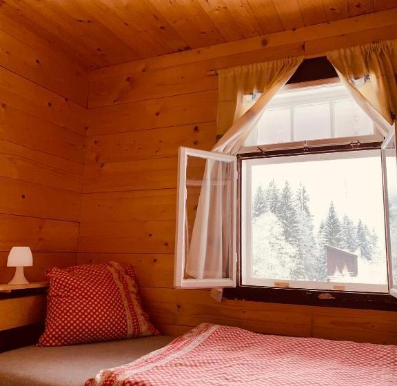 Pension Penzion Lesní Zátiší Harrachov