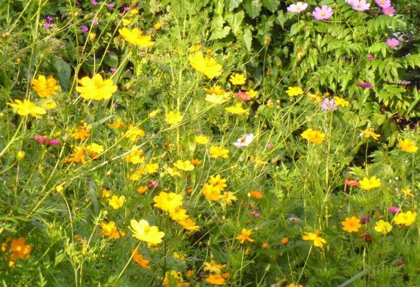 Ostello Jasmine Garden Inn