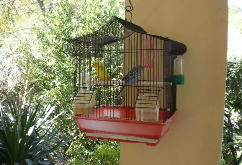B&b Villa Calagioli