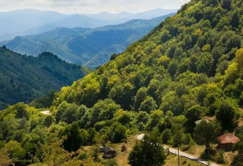 ホテル семеен хотел вит