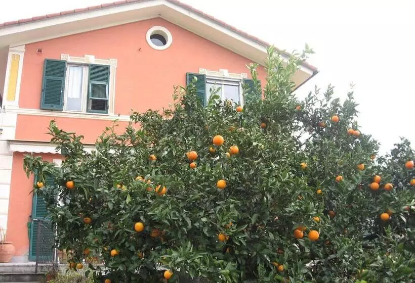 Le Clementine B&b