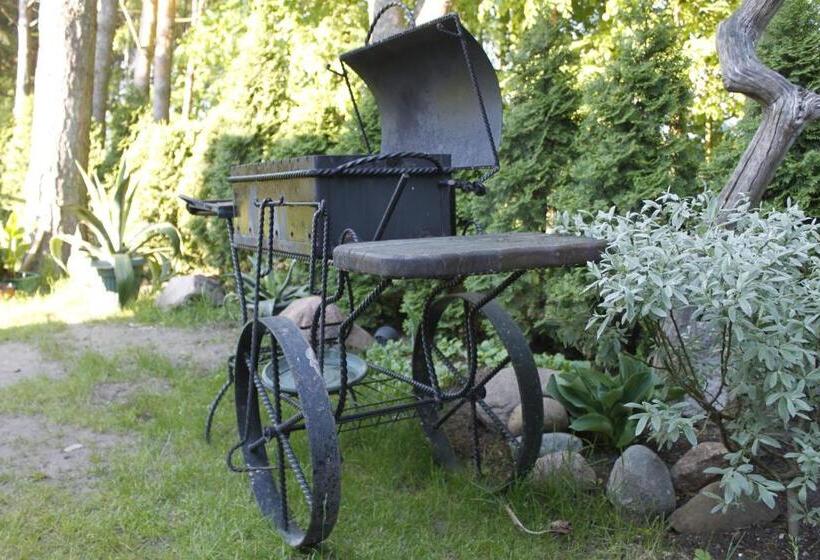 پانسیون Elena