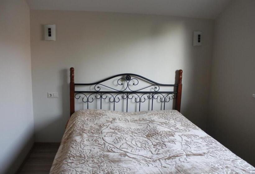 پانسیون Elena