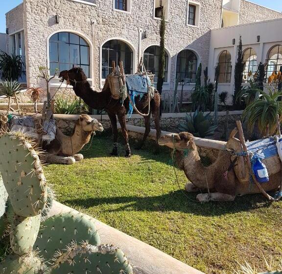 بنسيون Maison D Hôtes, Spa Et Yoga Villa Océane