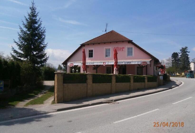 Пансион Penzion Oliver