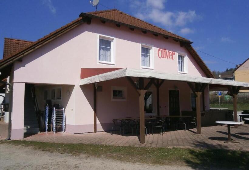 Пансион Penzion Oliver