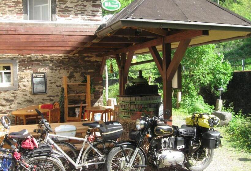 Pension & Apartments Linkemühle