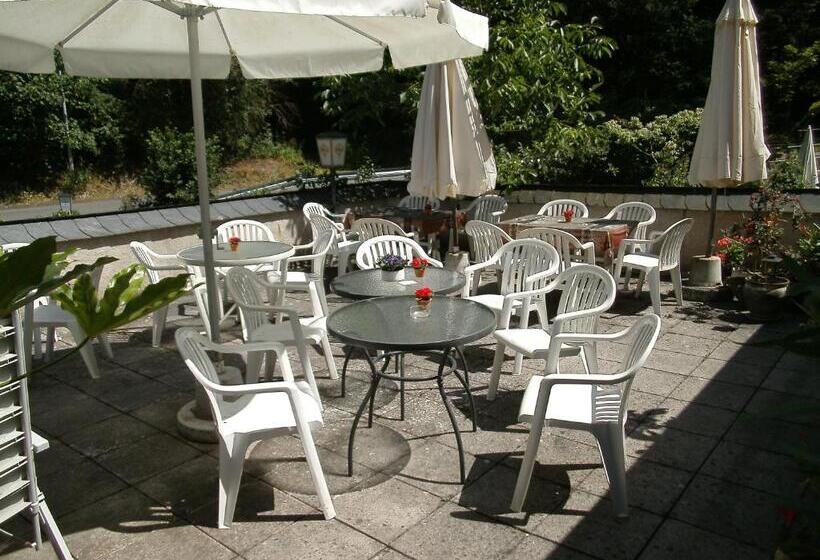 Pension & Apartments Linkemühle