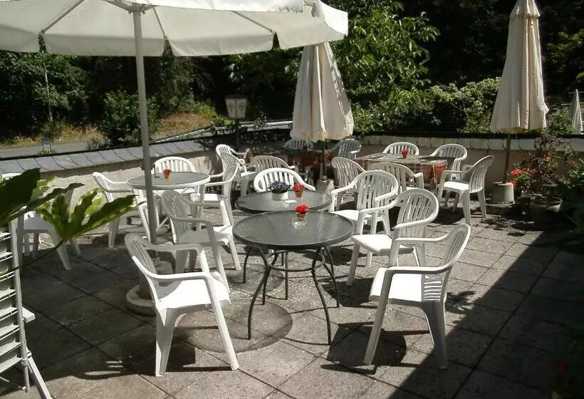 Pension & Apartments Linkemühle
