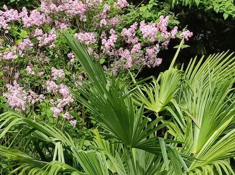 پانسیون Villa La Dolce Vita