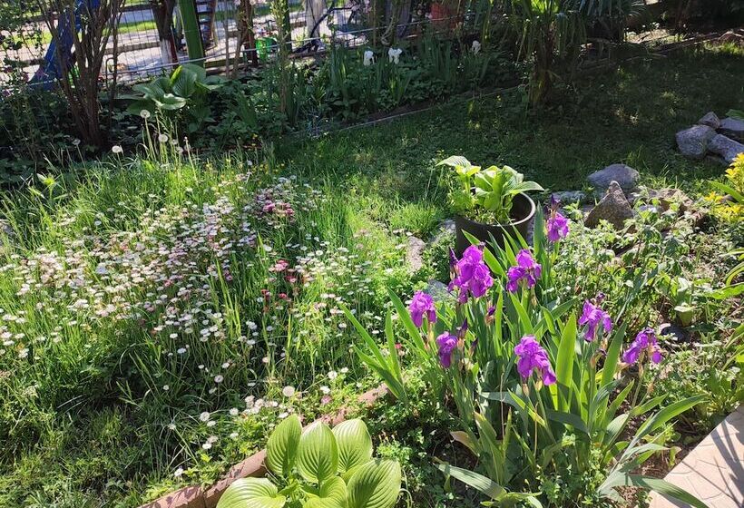 پانسیون Villa La Dolce Vita