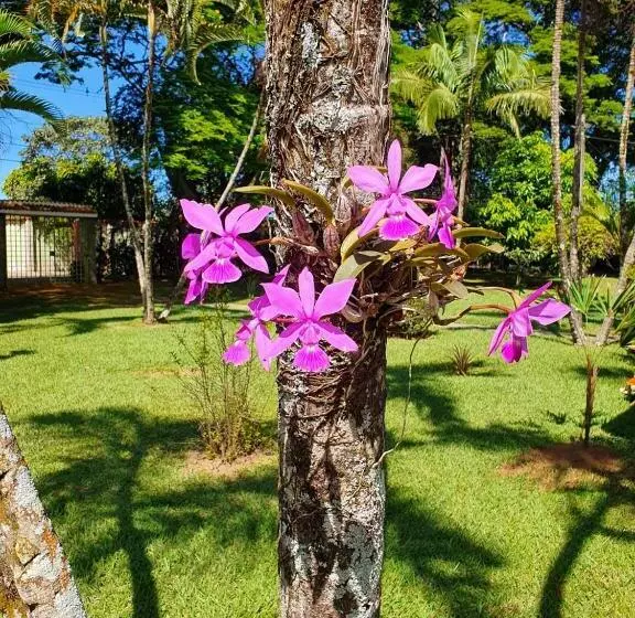 Piscina E Muito Lazer Em Linda Chacara, Franca Sp