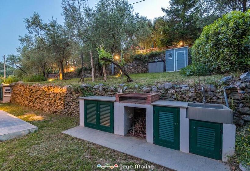 Villa Ca Damare, Terremarine