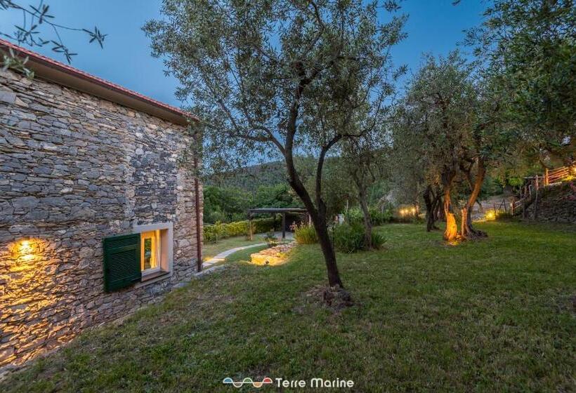 Villa Ca Damare, Terremarine