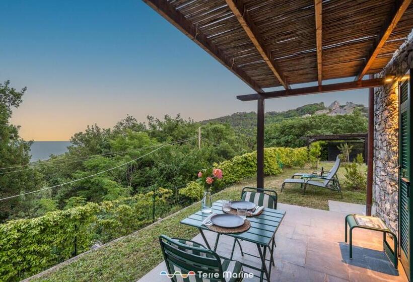 Villa Ca Damare, Terremarine