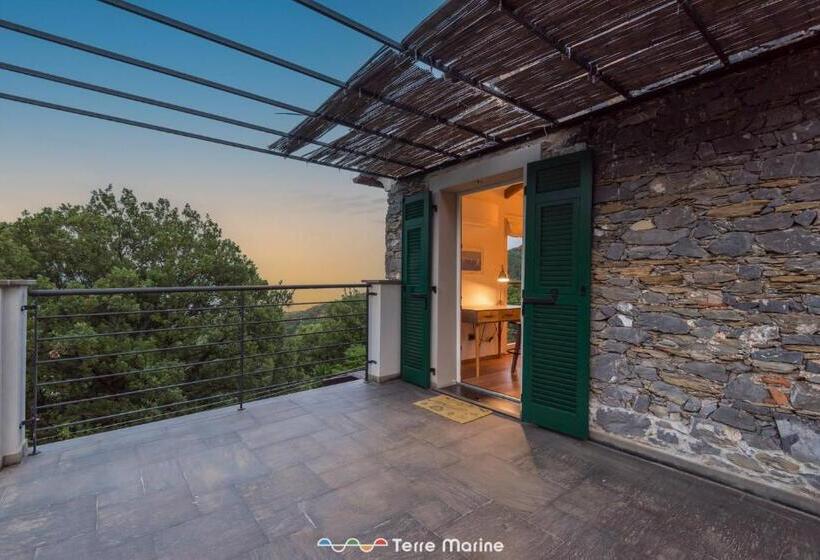 Villa Ca Damare, Terremarine