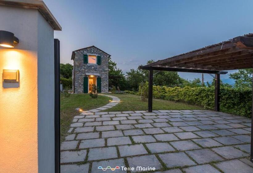 Villa Ca Damare, Terremarine