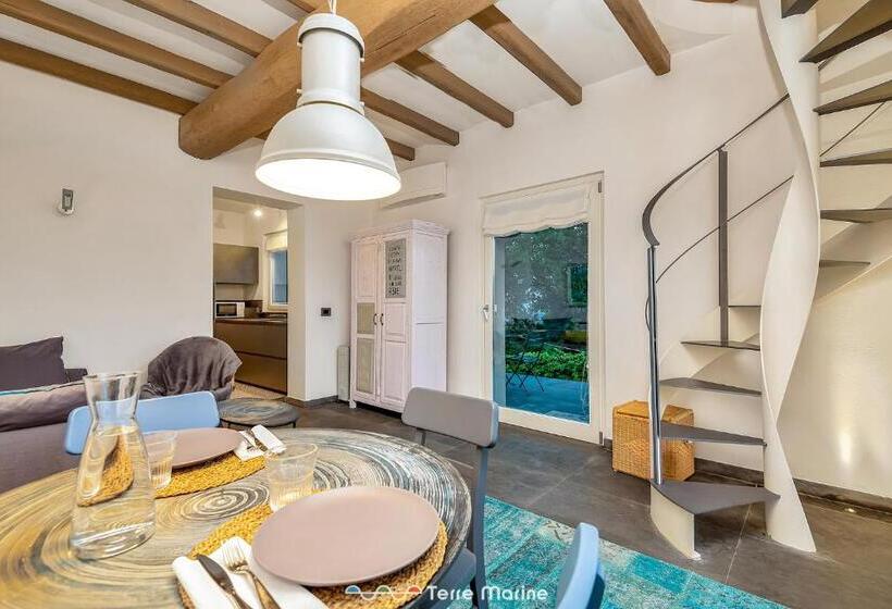 Villa Ca Damare, Terremarine