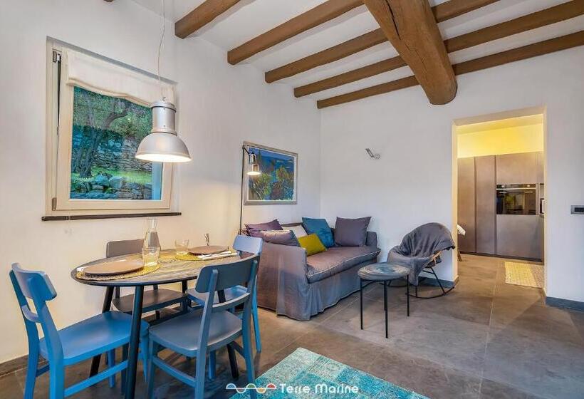 Villa Ca Damare, Terremarine