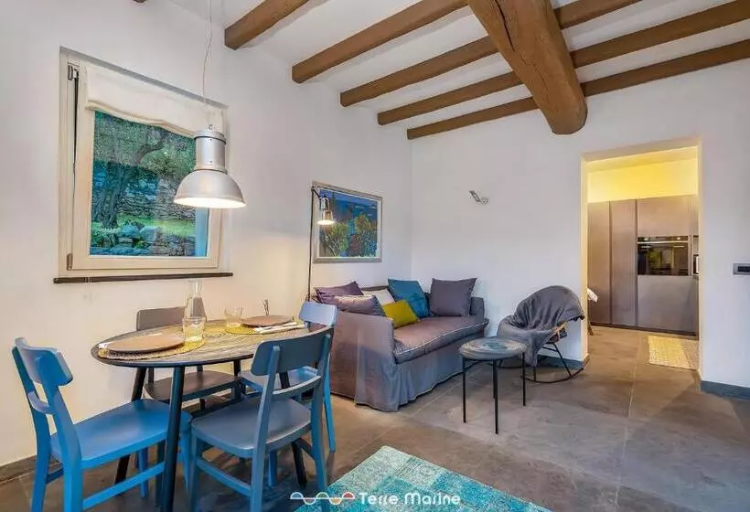 Villa Ca Damare, Terremarine