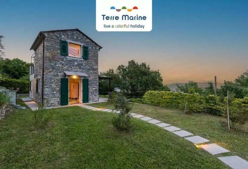 Villa Ca Damare, Terremarine