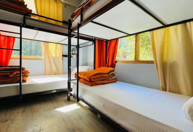 Albergue Madpackers Jibhi Of Streamsides & Waterfalls